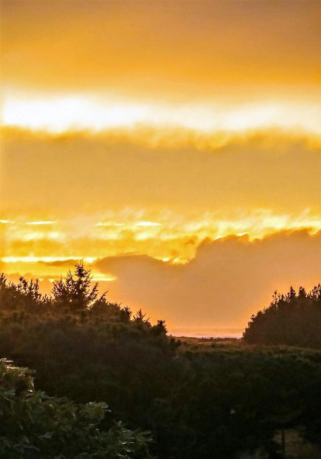 Boreas Bed & Breakfast Inn Long Beach Buitenkant foto