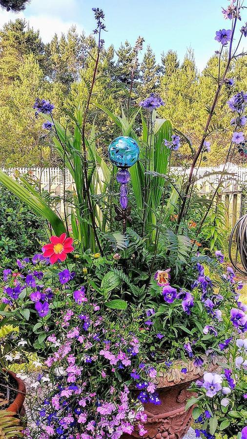 Boreas Bed & Breakfast Inn Long Beach Buitenkant foto